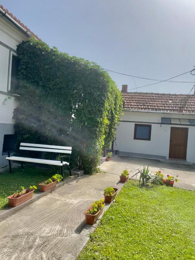 Casa De Sub Deal Densus Экстерьер фото