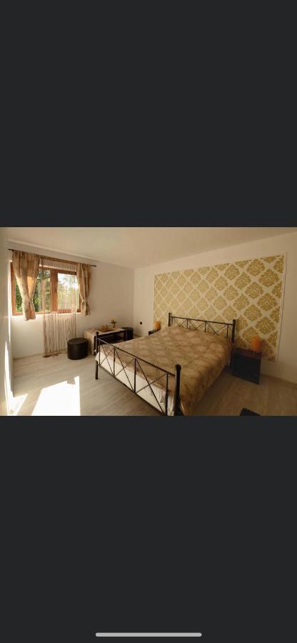 Casa De Sub Deal Densus Экстерьер фото