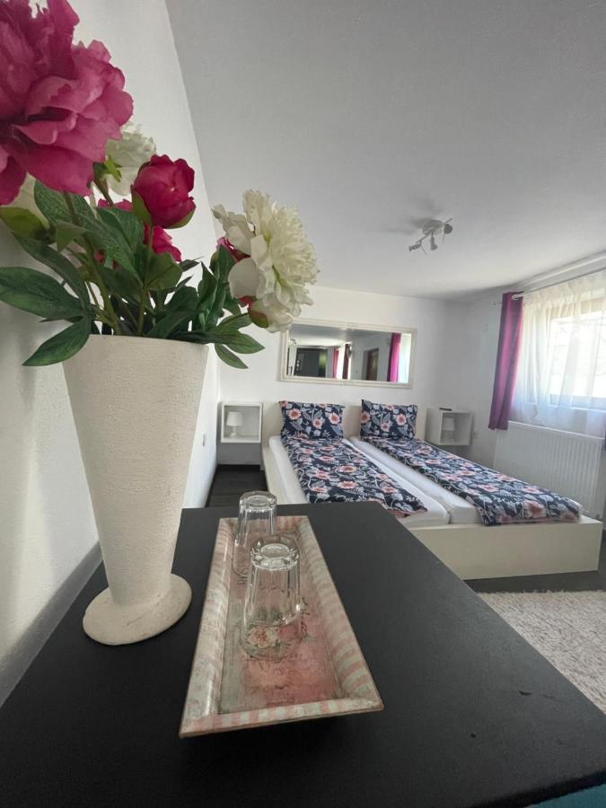 Casa De Sub Deal Densus Экстерьер фото